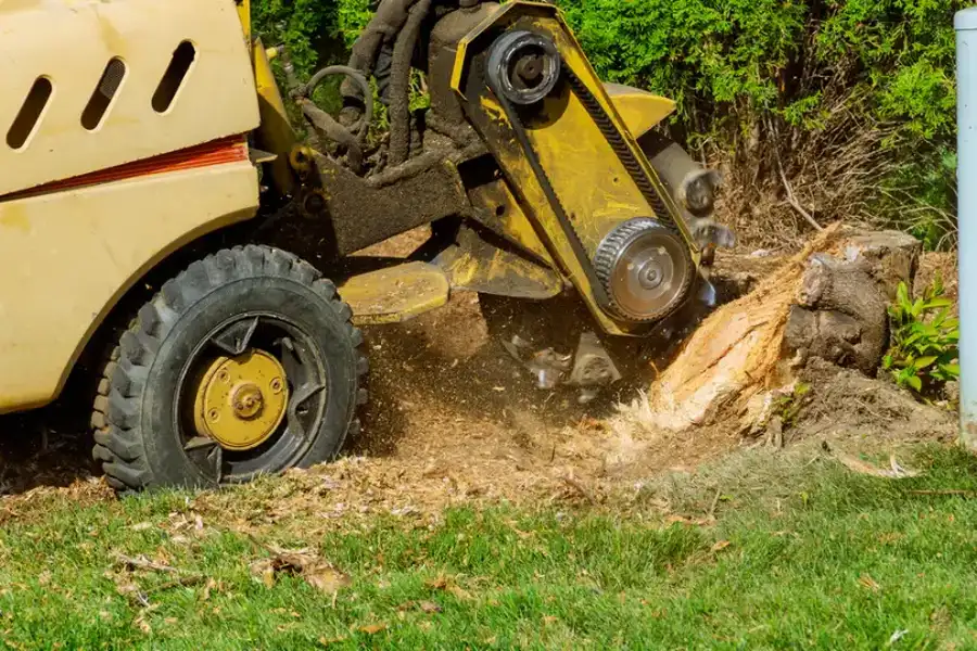 Common Mistakes To Avoid During Tree Stump Grinding Mingo Junction, OH