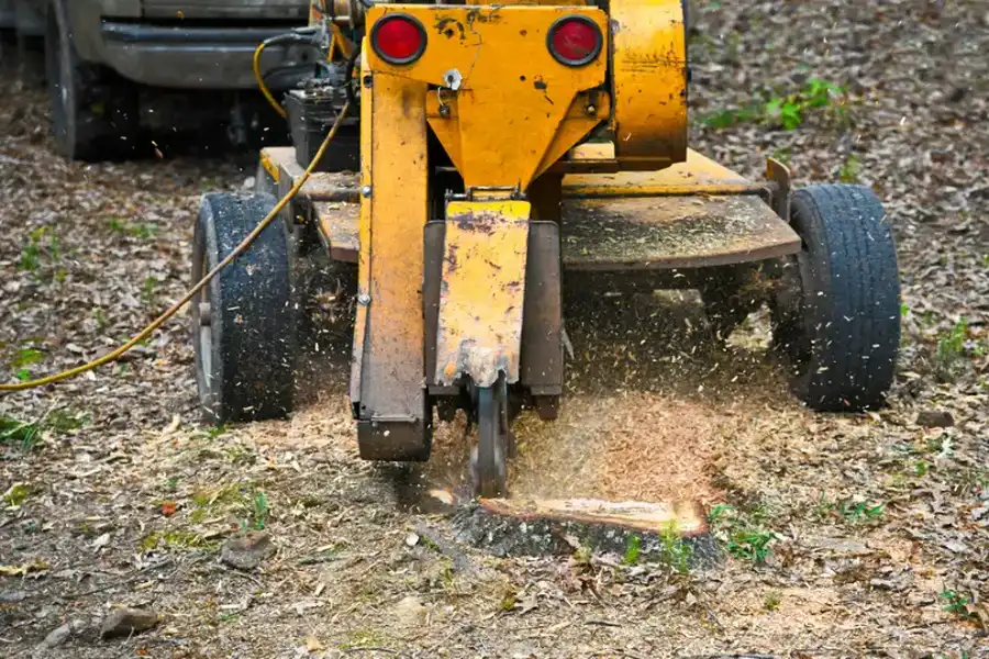 Common Mistakes To Avoid During Tree Stump Grinding in Mingo Junction, OH