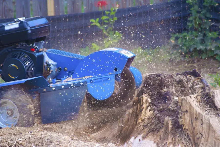 Excellent Tree Stump Grinding Mingo Junction, OH