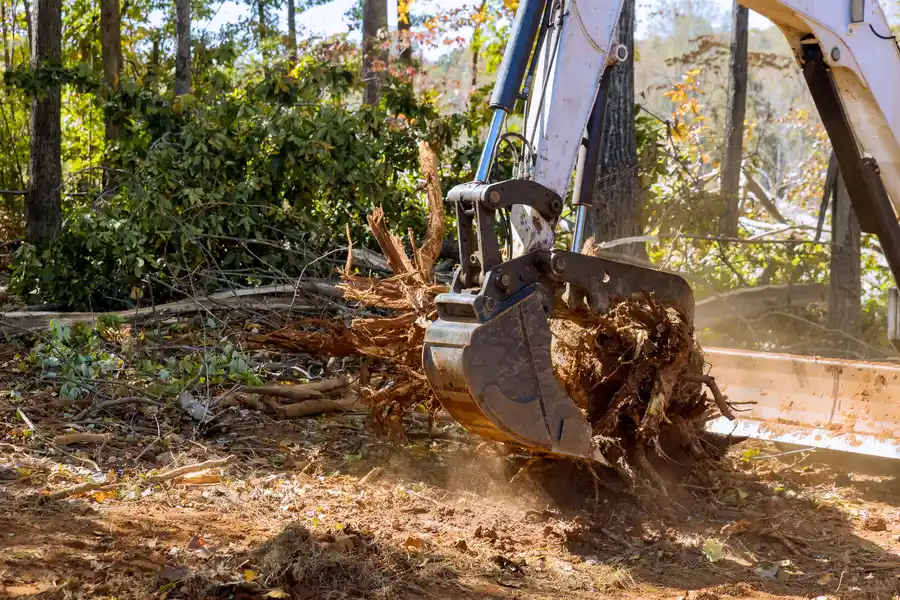 Experienced Tree Stump Removal Mingo Junction, OH