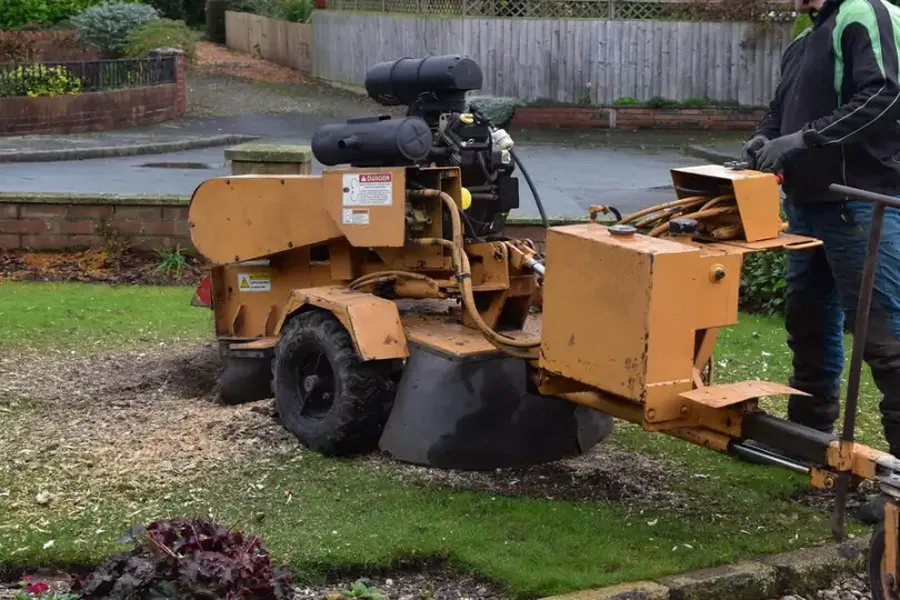How To Maintain Your Lawn After Tree Stump Grinding Mingo Junction, OH