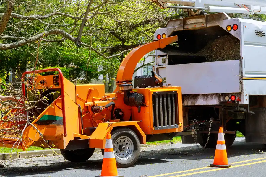 How Tree Removal Helps Prevent Structural Damage Mingo Junction, OH
