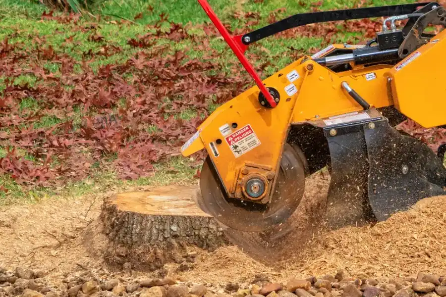 Professional Tree Stump Grinding Mingo Junction, OH