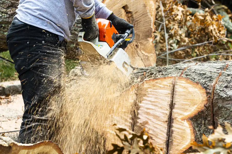 Reputable Tree Stump Removal Mingo Junction, OH