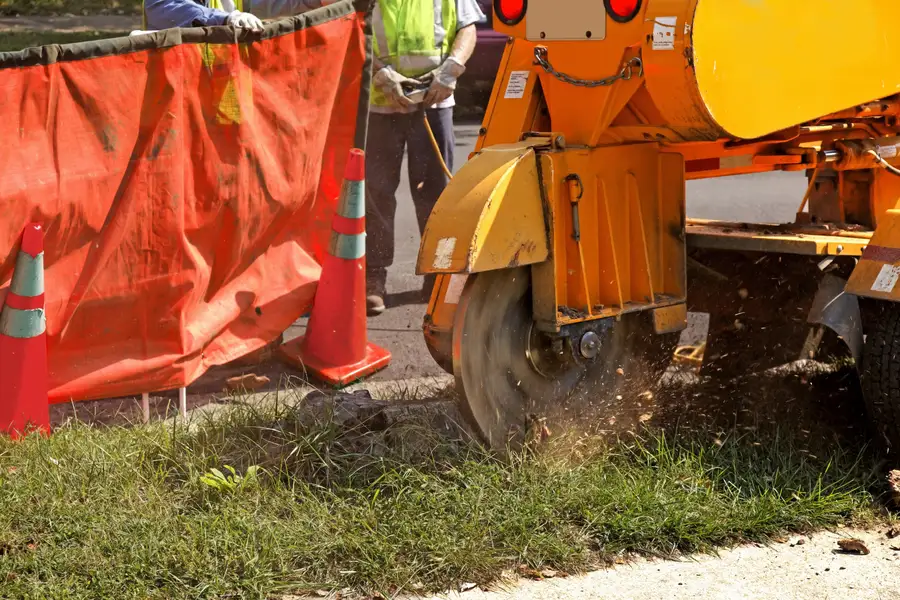 Superior Tree Stump Grinding Mingo Junction, OH