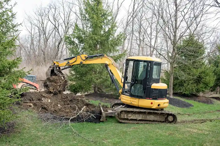 Top-rated Tree Stump Removal Mingo Junction, OH